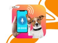 Aplicativo para Conversar com Cachorro: Descubra o Que Seu Pet Quer Dizer 🐶