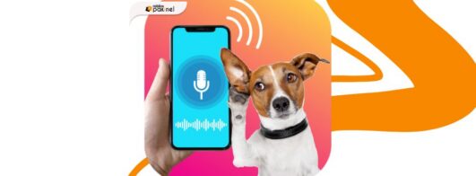 Aplicativo para Conversar com Cachorro: Descubra o Que Seu Pet Quer Dizer 🐶