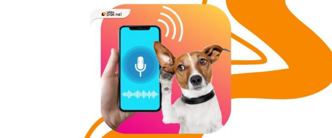 Aplicativo para Conversar com Cachorro: Descubra o Que Seu Pet Quer Dizer 🐶